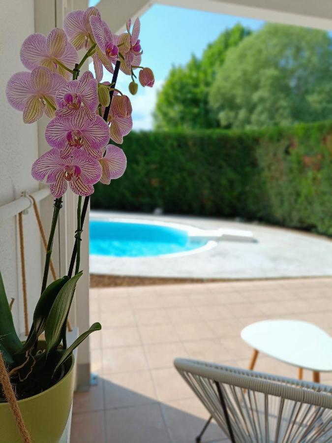 קסטלנואובו דל גארדה Picnic Room And Pool מראה חיצוני תמונה